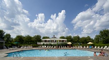 Pool shot